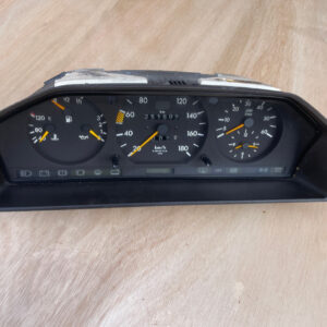 speedo instruments IMG 2326