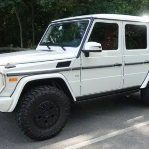 Rocker Panel Guard G Wagen Rockslider Rockerpanel Guard detail 917x592